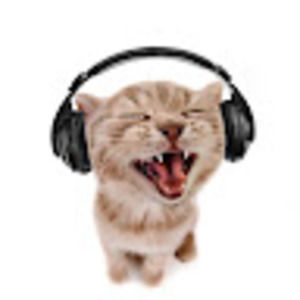 Meet your Posher, Timmy